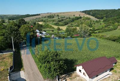 Teren de 3500 mp, în Bogdănești - 4