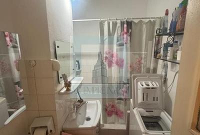 Apartament 2 camere ,circular - zona Astra/Calea București - 12