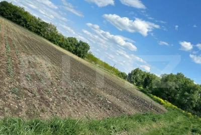 Teren de 4800 mp, în Central