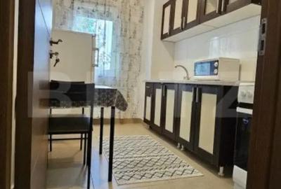 Garsonieră decomandată în Bună Ziua - 11