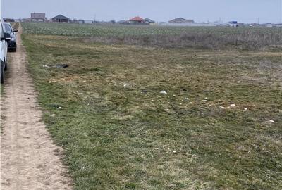 RECO Teren intravilan in Livada de Bihor 1000mp - 3