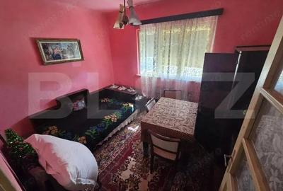 Casa de individuala, 4 camere, teren 1900mp - Zona Unirea - 3