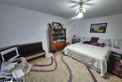 Casă cu 2 camere cu Teren 5135 Mp în Dobreni - 8