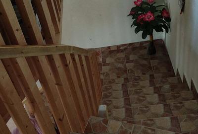 Casă cu 6 camere în Negreni - 1