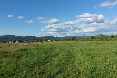 Merisor, 54 ari teren - 4