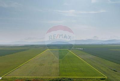 Teren 42,000mp Tarlungeni / Strada Izvor - 7