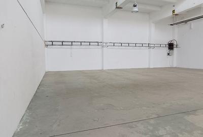 Spațiu industrial, de 320 mp, în Uzina 2 - 17