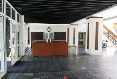 Spațiu comercial, în Kiseleff - 7