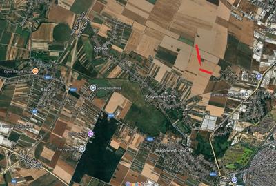 Teren agricol extravilan de 10000 mp, în Dragomirești-Vale - 1