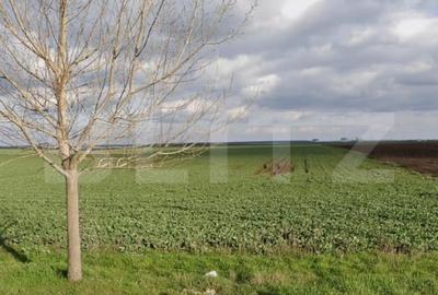 Teren Construcții extravilan de 15000 mp, în Exterior Est - 1