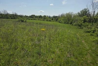 Teren de 11300 mp, în Moșoaia - 6