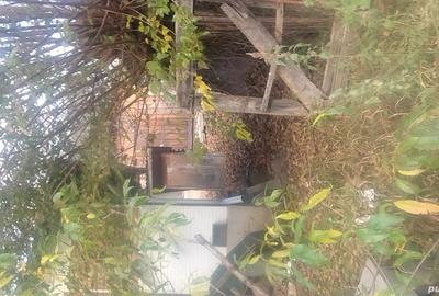 Vand casa batraneasca - 4