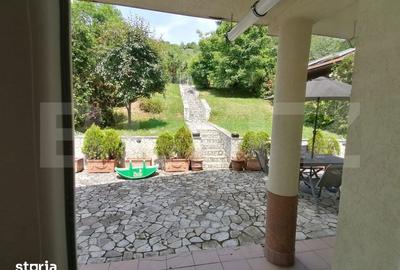 Apartament cu 4 camere în Grigorescu - 6
