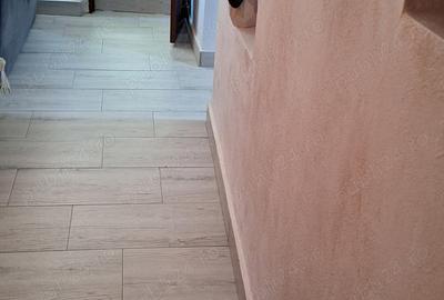 Casă cu 3 camere cu Teren 780 Mp în Troianul - 7