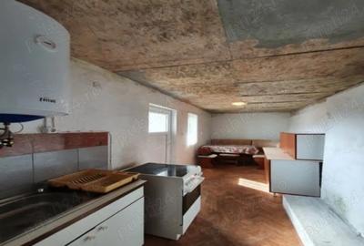 Vind Casa Mare La ?ara Sau Schimb cu Apartament sau 2 Garsoniere in Sibiu - 9