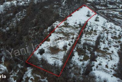 Spațiu comercial, în Bradu - 5