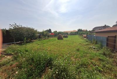 De vanzare casa mobilata, 130 mp.+1600 curte, Mihai Viteazu - 20