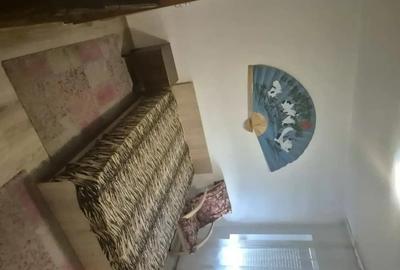 Apartament cu 2 camere semidecomandat, mobilat în Parcul Carol - 2
