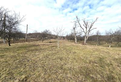 Teren de 3800 mp, în Moigrad-Porolissum - 1