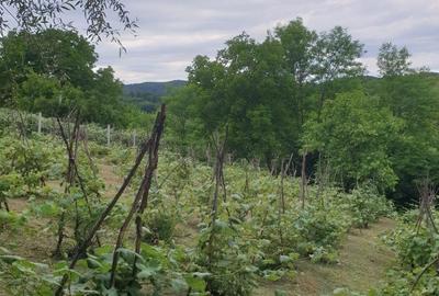 Casă cu 3 camere în Mărgineni - 4