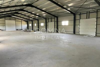Inchiriere hala industriala NOUA situata in Bale?ti, la 5 km de Tg. Jiu - 3