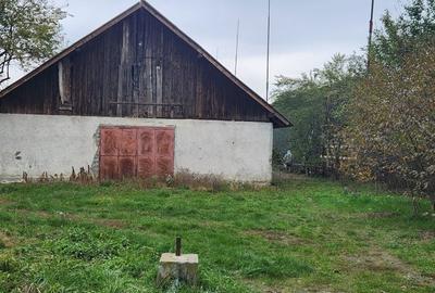 Spațiu comercial, de 997 mp, în Budila