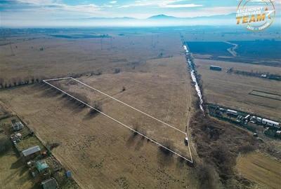 Teren extravilan de 5.800 mp in Sfantu Gheorghe:oportunitate Investie/Exploatare - 3