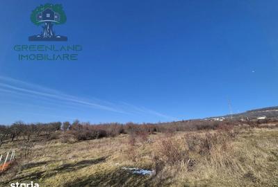 Teren de 560 mp, în Bârnova - 4
