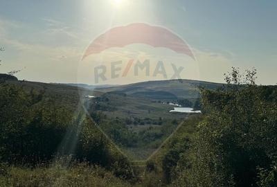 Teren cu parau | 50,000 mp | zona Caianu-Vama | la lizi... - 1