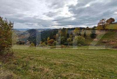 Teren de 6200 mp, în Florești - 1