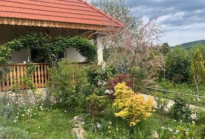 Casă cu 4 camere în Făget - 8