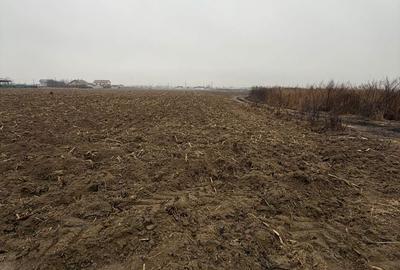 Spațiu comercial, în Lilieci - 2