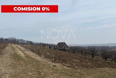 Teren de vanzare in Ocna Sibiului – Locatie premium langa lacurile sarate - 2