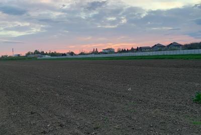 Teren Construcții intravilan de 10000 mp, în Afumați - 11