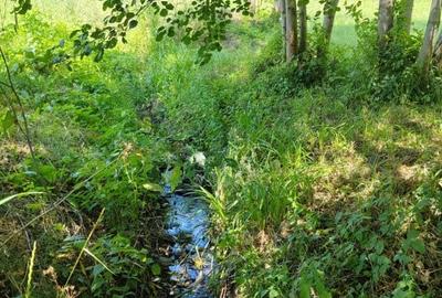 Teren intravilan 1035 mp cu parau, Breaza, Prahova Teren intravilan 1035 mp cu parau, Breaza, Prahova - 3