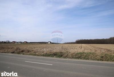 Teren de 9740 mp, în Bosanci - 6