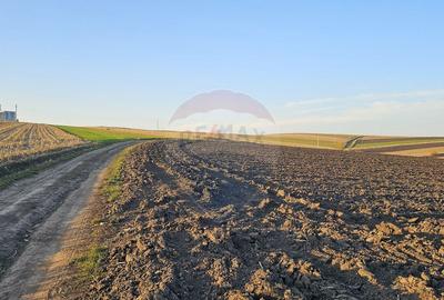 Teren extravilan 30077mp Stroiesti / Soseaua DN17, Suceava - 5