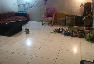 Casă în 1 Decembrie - 7