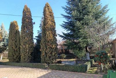 Casă cu 6 camere în Pucioasa - 8