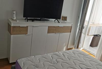 Apartament cu 3 camere decomandat în Valea Lupului - 3