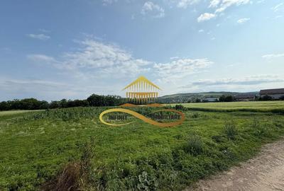 Teren de 500 mp, în Crihan - 3