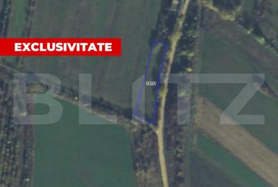 Teren de 921 mp, în Central