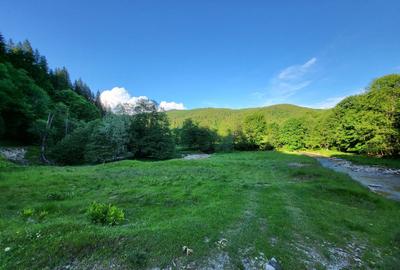 Teren de 12.000 mp la Vama Buzăului – Locație de Vis cu PUZ Aprobat - 6