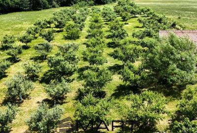 Teren de 5000 mp, în Mihai Viteazul - 4