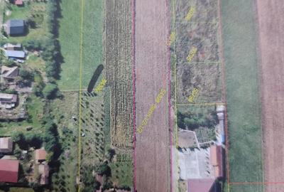 Teren de 10600 mp, în Gligorești - 1