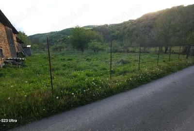 Casă cu 4 camere cu Teren 3030 Mp în Vale - 3