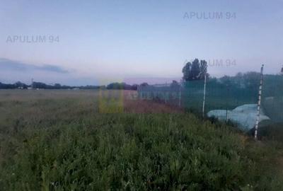 Teren aproape de Bucuresti langa padure între case - 6