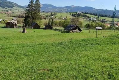 Teren de 28307 mp, în Coșna - 4