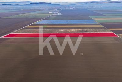 Teren Construcții intravilan de 16000 mp, în Hărman - 2