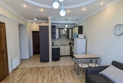 Garsonieră decomandată în Mănăștur - 9